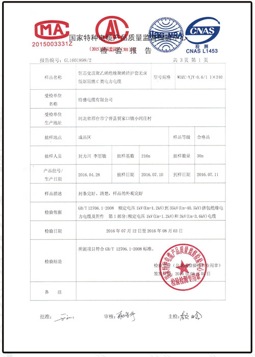 檢驗(yàn)報告